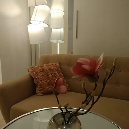 100 No 1 Ogrod W Centrum